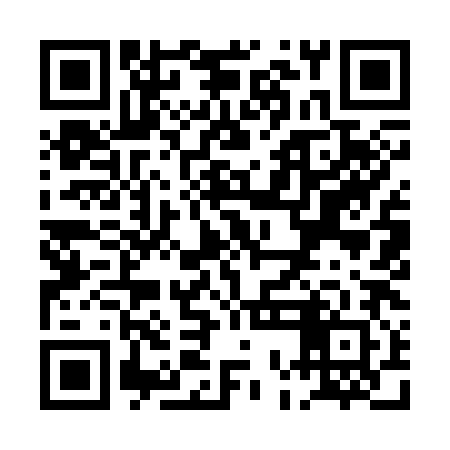 QR code for POI382