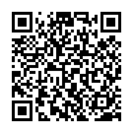 QR code for POO420