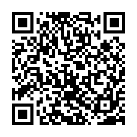 QR code for PPG117
