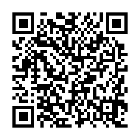 QR code for PPP395