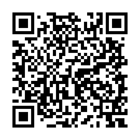 QR code for PPT591