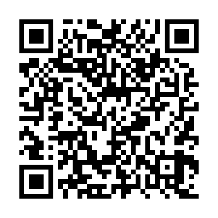 QR code for PPT869