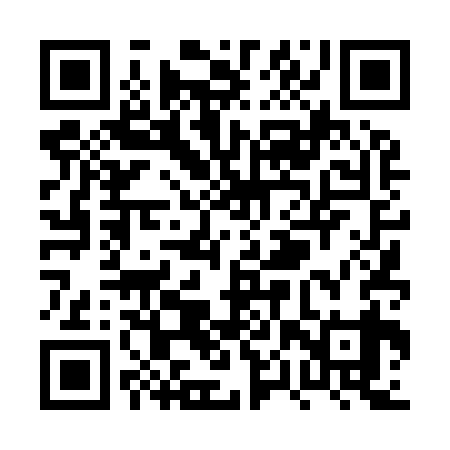 QR code for PPT939