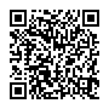 QR code for PPX381