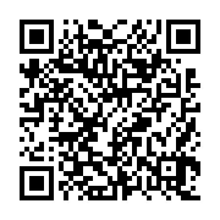QR code for PPZ667