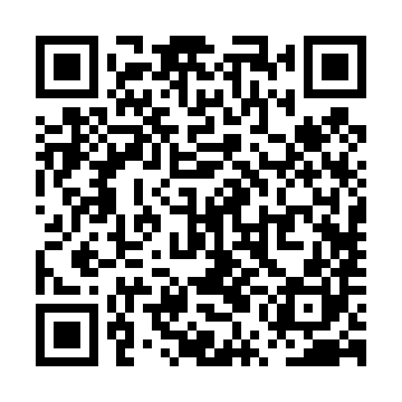 QR code for PUB480
