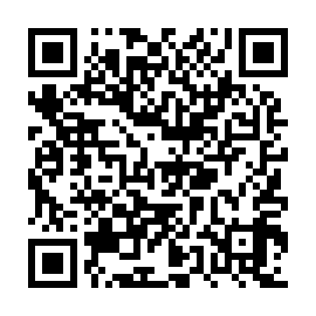 QR code for PUD919