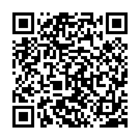 QR code for PUN033