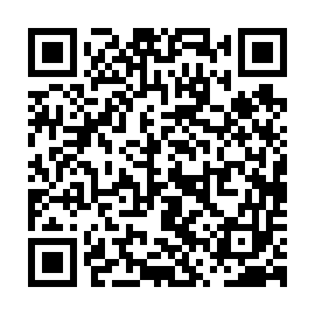 QR code for PVP653