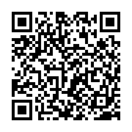 QR code for PYI313