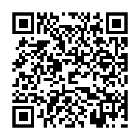 QR code for PYY383