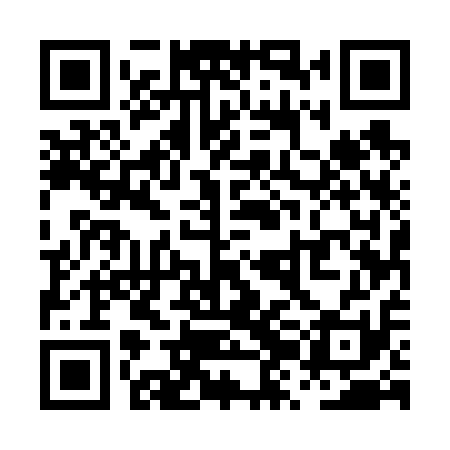 QR code for PZE611