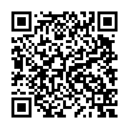 QR code for PZN437