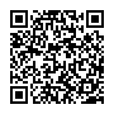 QR code for PZP375