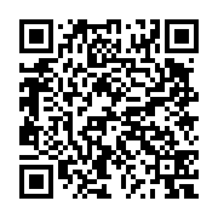 QR code for PZQ439
