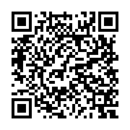 QR code for PZR954