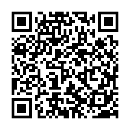 QR code for PZZ370