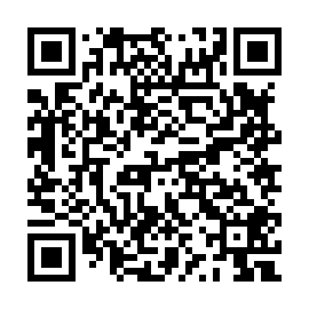 QR code for PZZ808