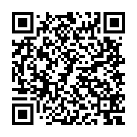 QR code for QDZ519
