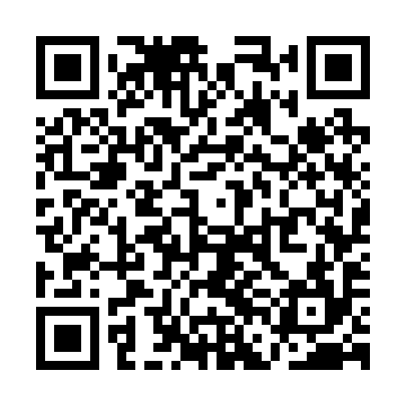 QR code for QFG294