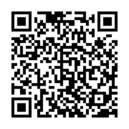 QR code for QFJ919