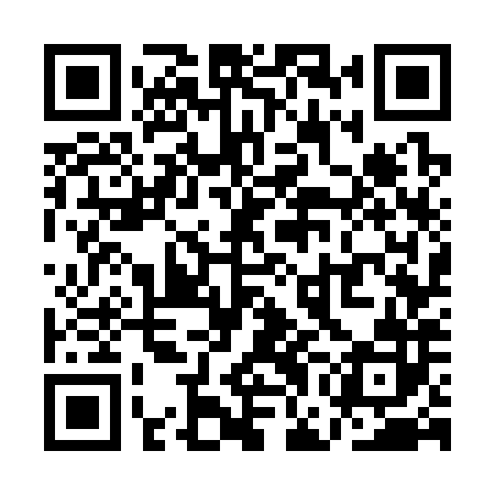 QR code for QGG382