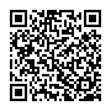 QR code for QHM295