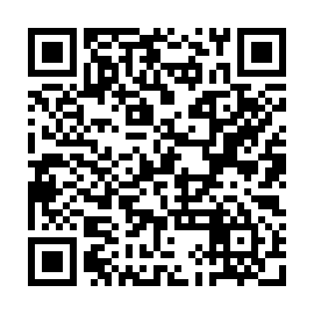 QR code for QIN395