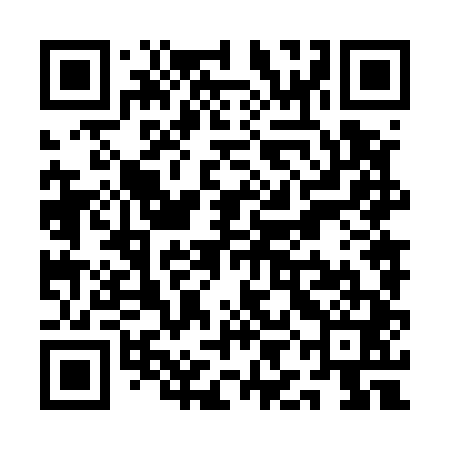 QR code for QIN541