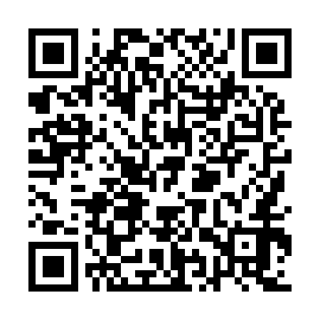 QR code for QIX952