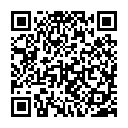 QR code for QIZ299