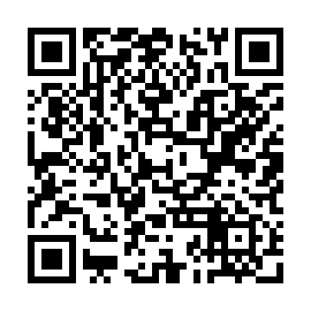 QR code for QJM919