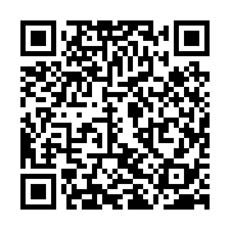 QR code for QLQ238