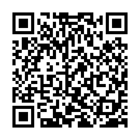 QR code for QLU299