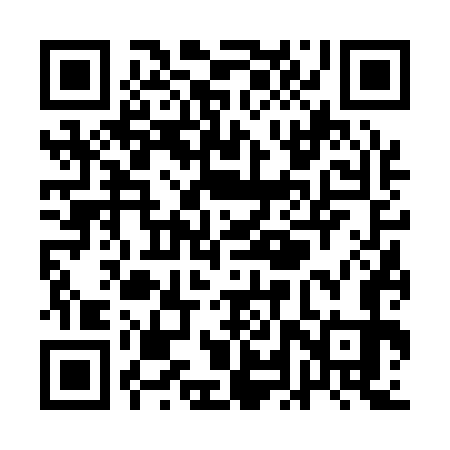 QR code for QLV173