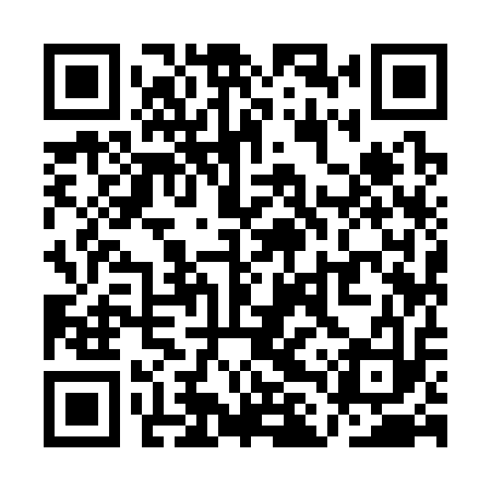 QR code for QLY313