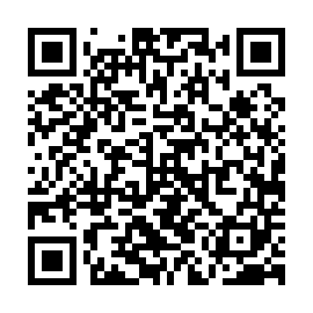 QR code for QMD141