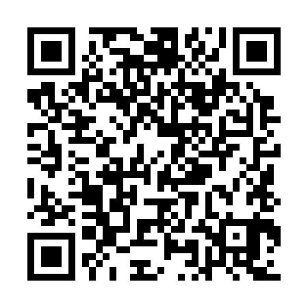 QR code for QML381