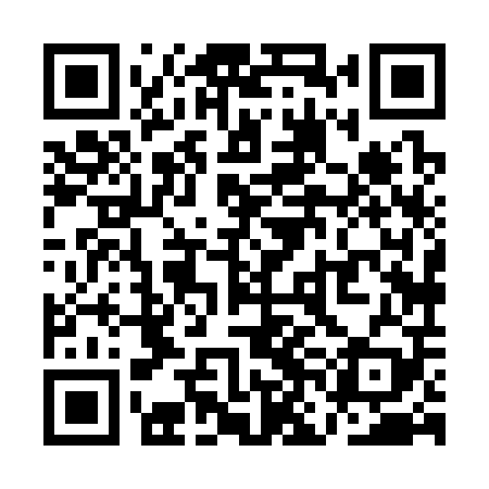 QR code for QNH309