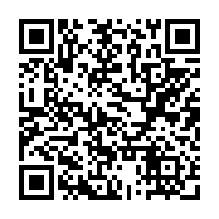QR code for QPP611