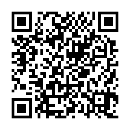 QR code for QQZ335