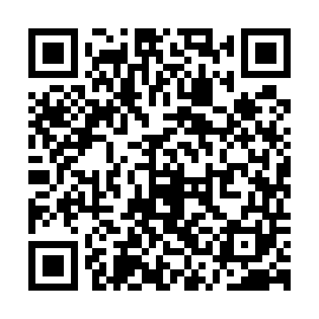 QR code for QSI541