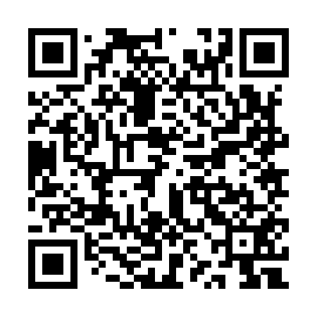 QR code for QZJ951