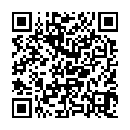 QR code for QZL301