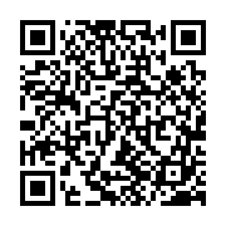 QR code for QZL363
