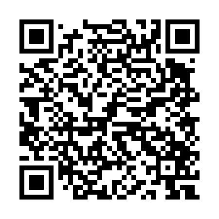 QR code for QZP447