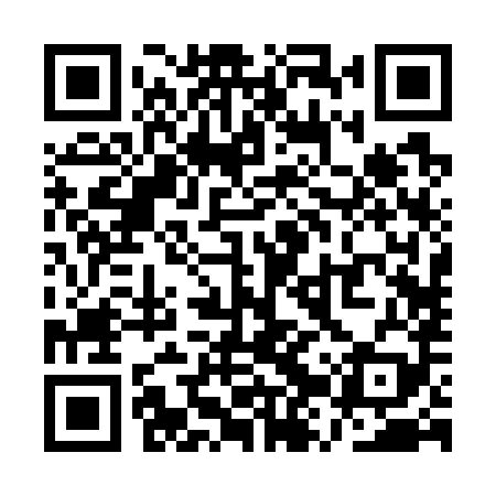 QR code for QZR789