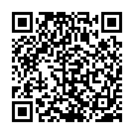 QR code for QZS313