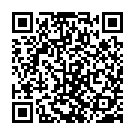 QR code for QZY389