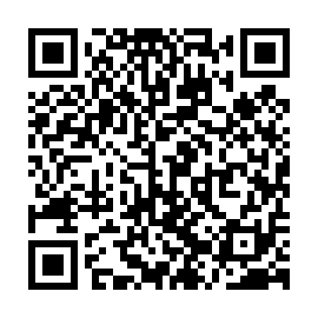 QR code for QZY411